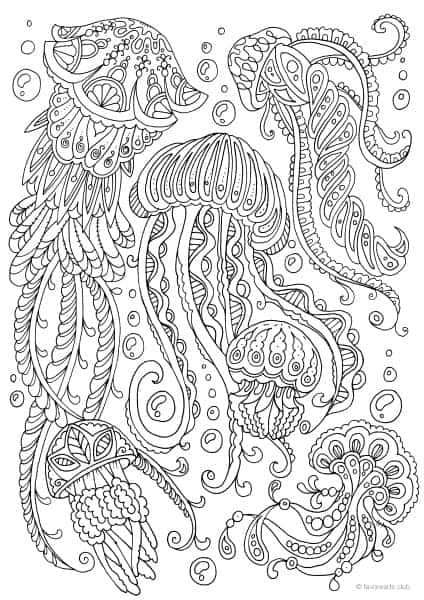 Jellyfish Coloring Pages For Adults
 Ocean Life Jellyfish Favoreads Original Adult
