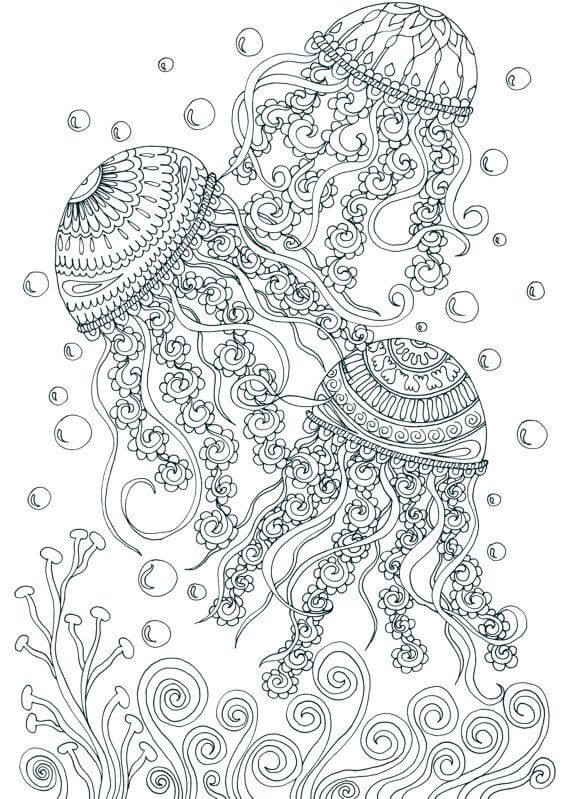 Jellyfish Coloring Pages For Adults
 Jellyfish coloring pages for adults