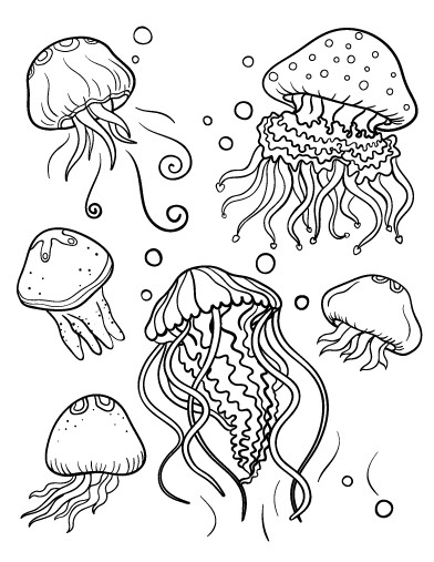 Jellyfish Coloring Pages For Adults
 Пин от пользователя Muse Printables на доске Coloring