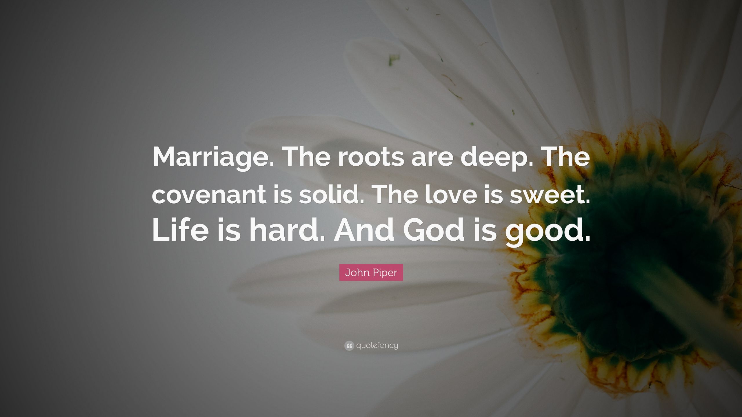 John Piper Marriage Quote
 John Piper Quote “Marriage The roots are deep The