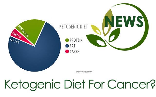 Keto Diet For Cancer
 Effective Keto Diet Food mlpriority