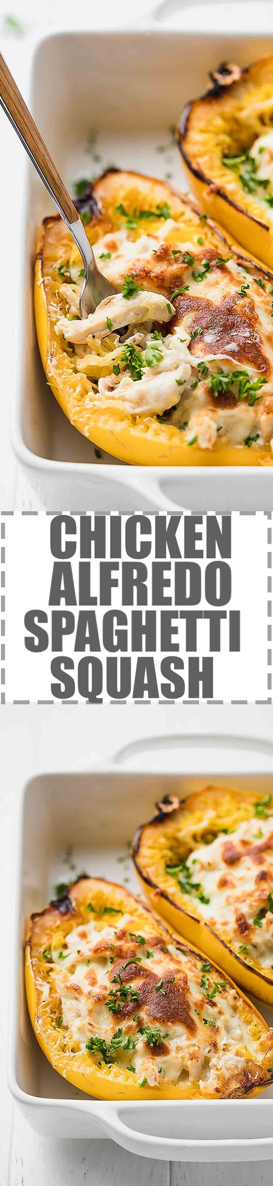 Keto Spaghetti Squash Alfredo
 Chicken Alfredo Spaghetti Squash Low Carb Keto Cooking LSL