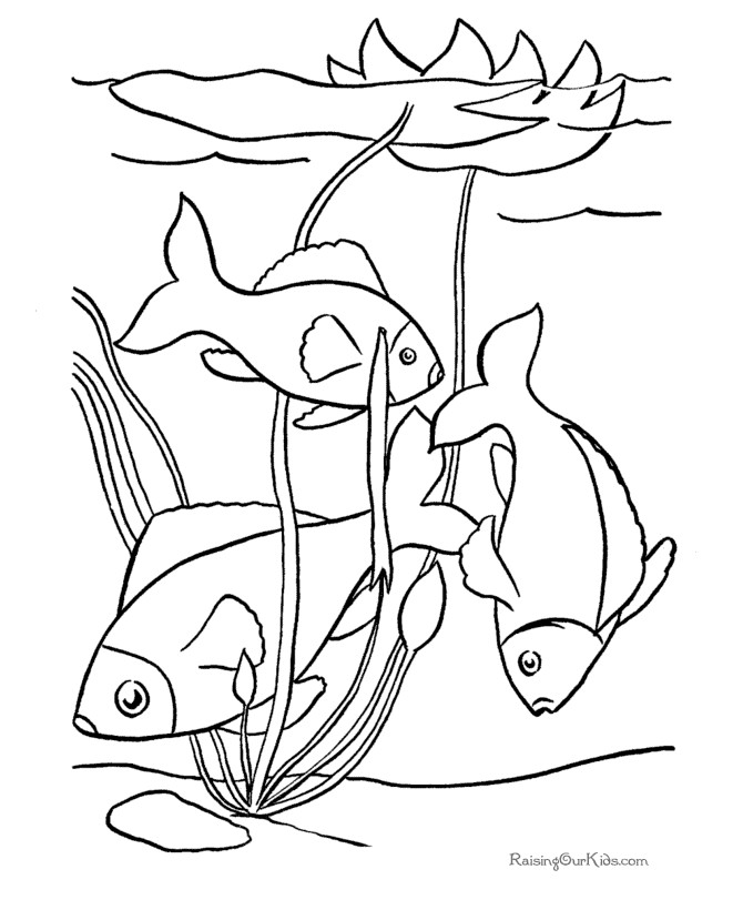 Kids Coloring Pages Fish
 Free Printable Fish 029