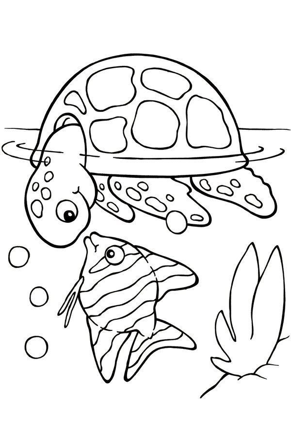 Kids Online Coloring
 Free Printable Turtle Coloring Pages For Kids Picture 4