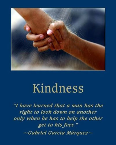 Kindness And Respect Quotes
 Quotes About Respect And Kindness QuotesGram