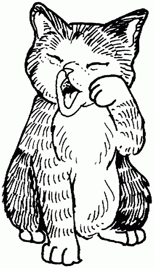 Kitten Printable Coloring Pages
 Cute kitten Free Printable Coloring Pages