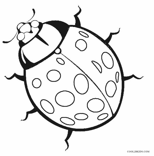 Ladybug Coloring Pages For Kids
 Printable Bug Coloring Pages For Kids