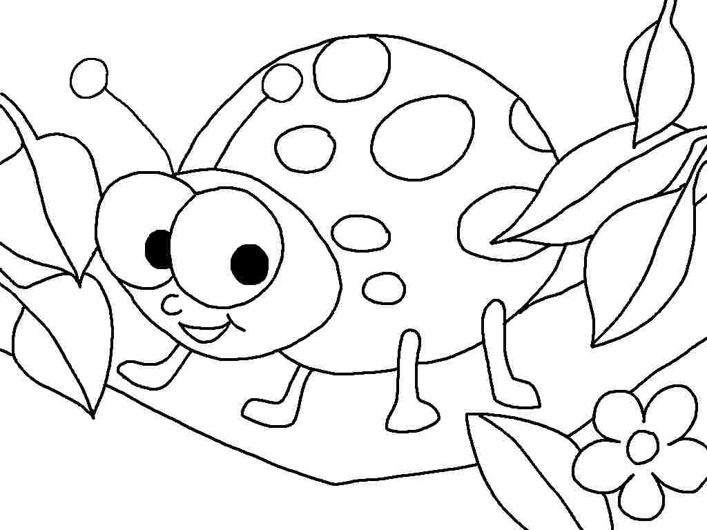 Ladybug Coloring Pages For Kids
 Lady Bug Coloring Pages