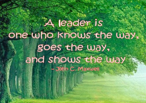Leadership Quotes For Kids
 We Are Nursepreneur