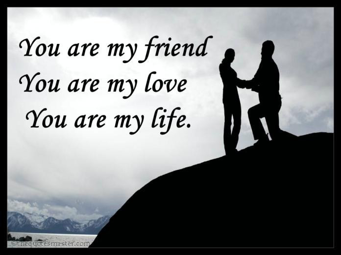 Life With You Quotes
 You are my life