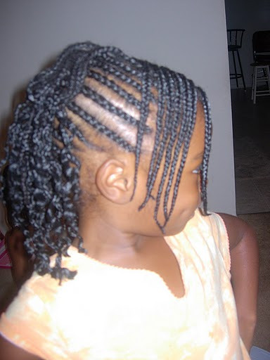 Little Girl Hairstyles African American
 braided hairstyle African American little girls