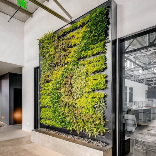 Living Walls Indoor
 Custom Living Walls for Any Space