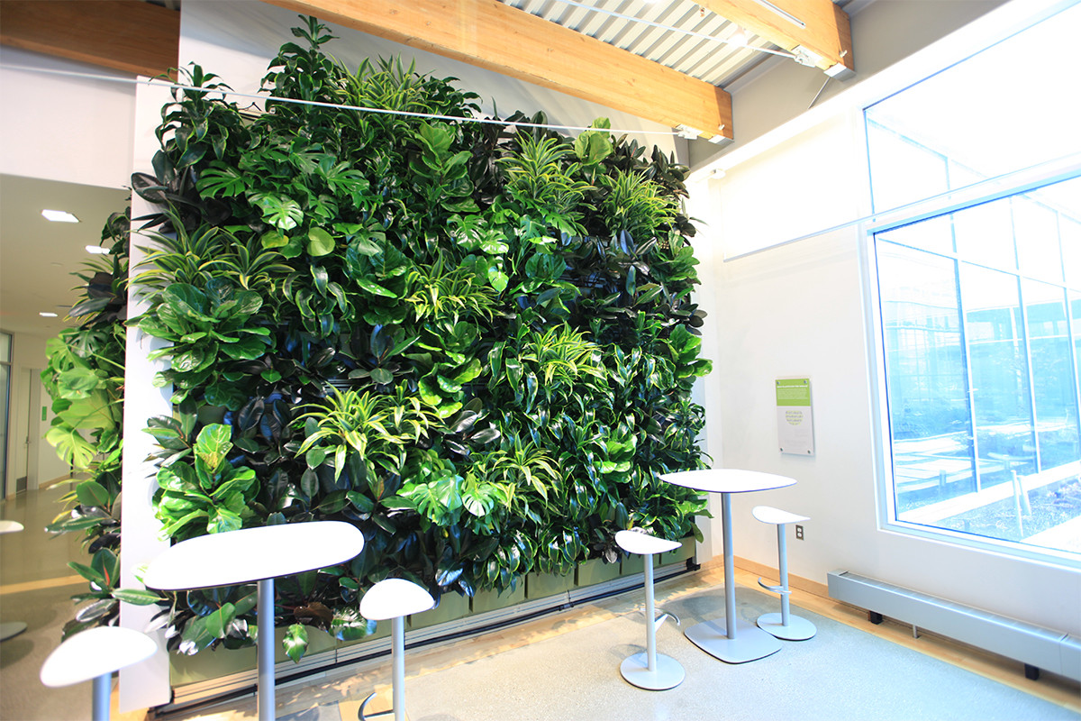 Living Walls Indoor
 Indoor Living Walls LiveWall Green Wall System