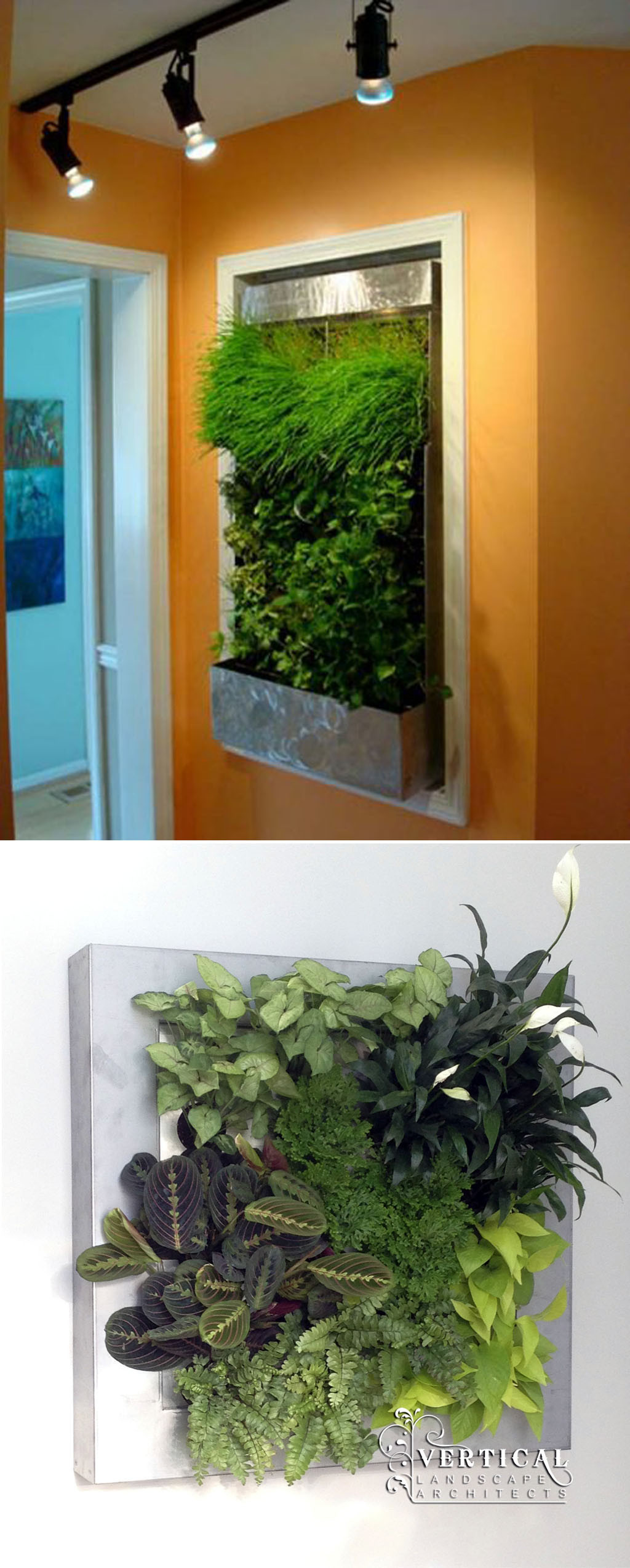 Living Walls Indoor
 Green Walls