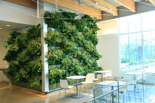 Living Walls Indoor
 Downtown Market expands green space with indoor living