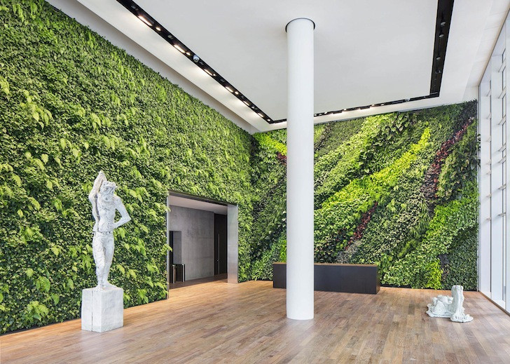 Living Walls Indoor
 Habitat Horticulture pletes largest indoor living wall