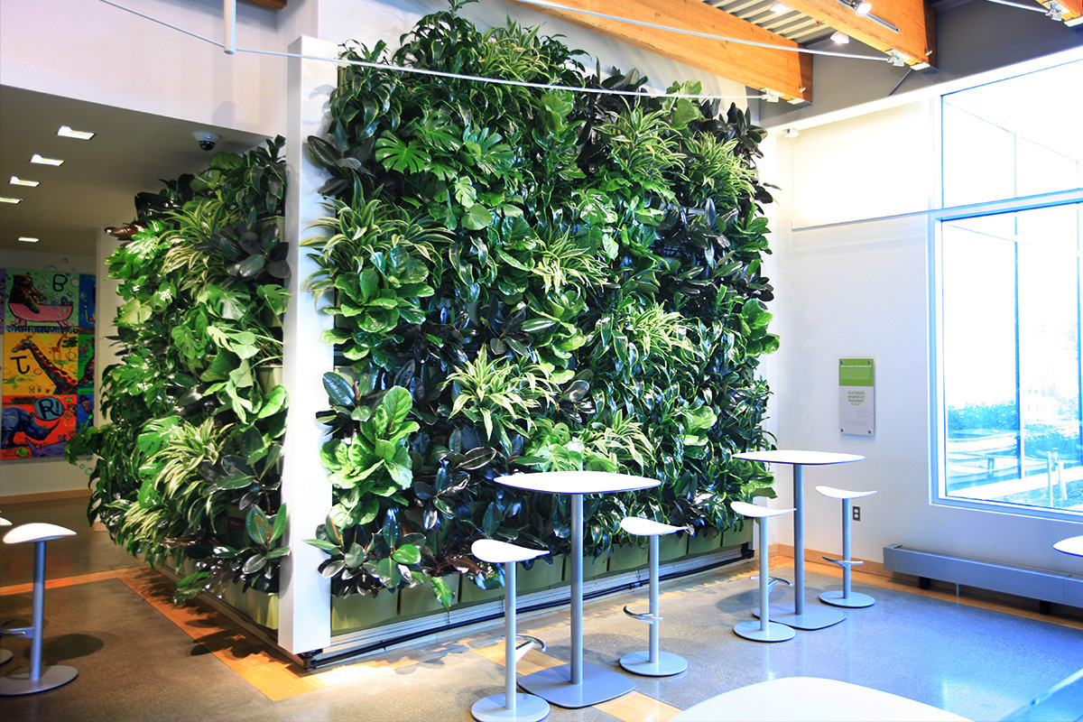 Living Walls Indoor
 Installation LiveWall Green Wall System