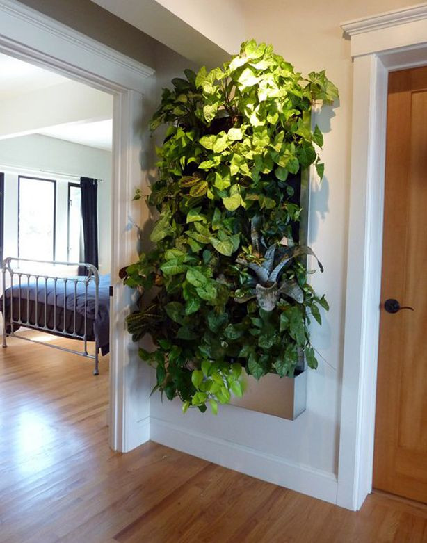 Living Walls Indoor
 Living Wall for Small Space Gardens