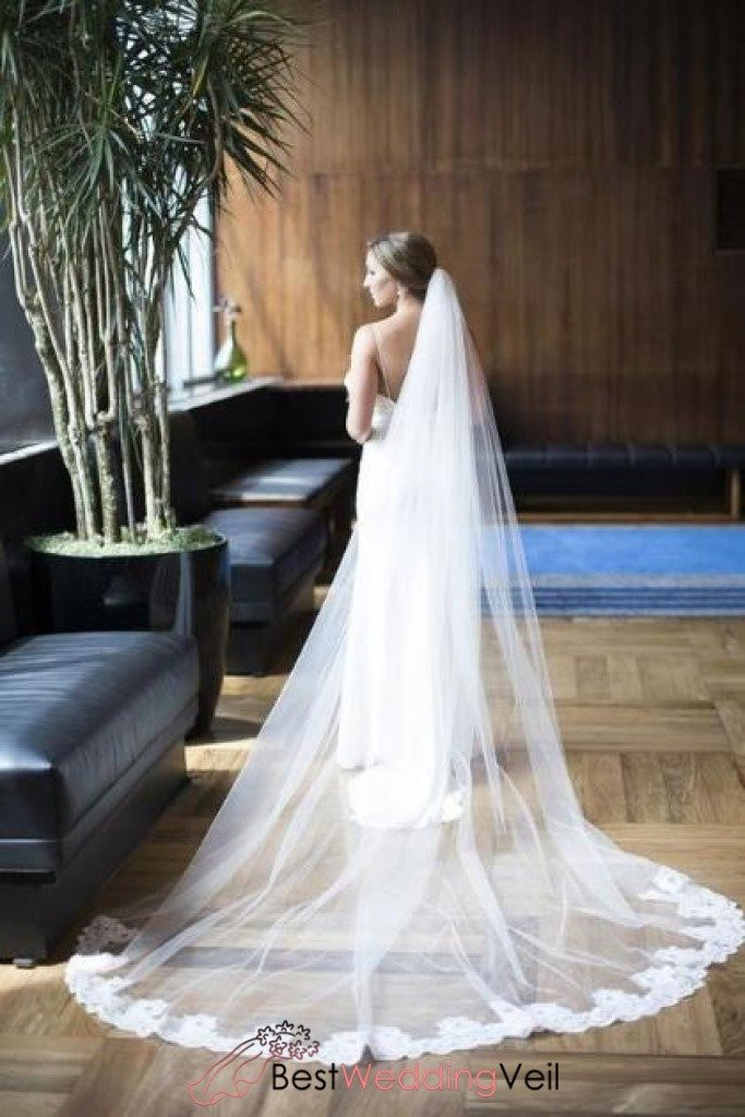 Long Wedding Veils With Lace
 Alencon Lace Partial Applique Long Veil for Wedding