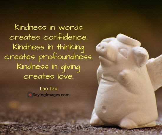 Love And Kindness Quotes
 30 Inspiring Kindness Quotes to Live By