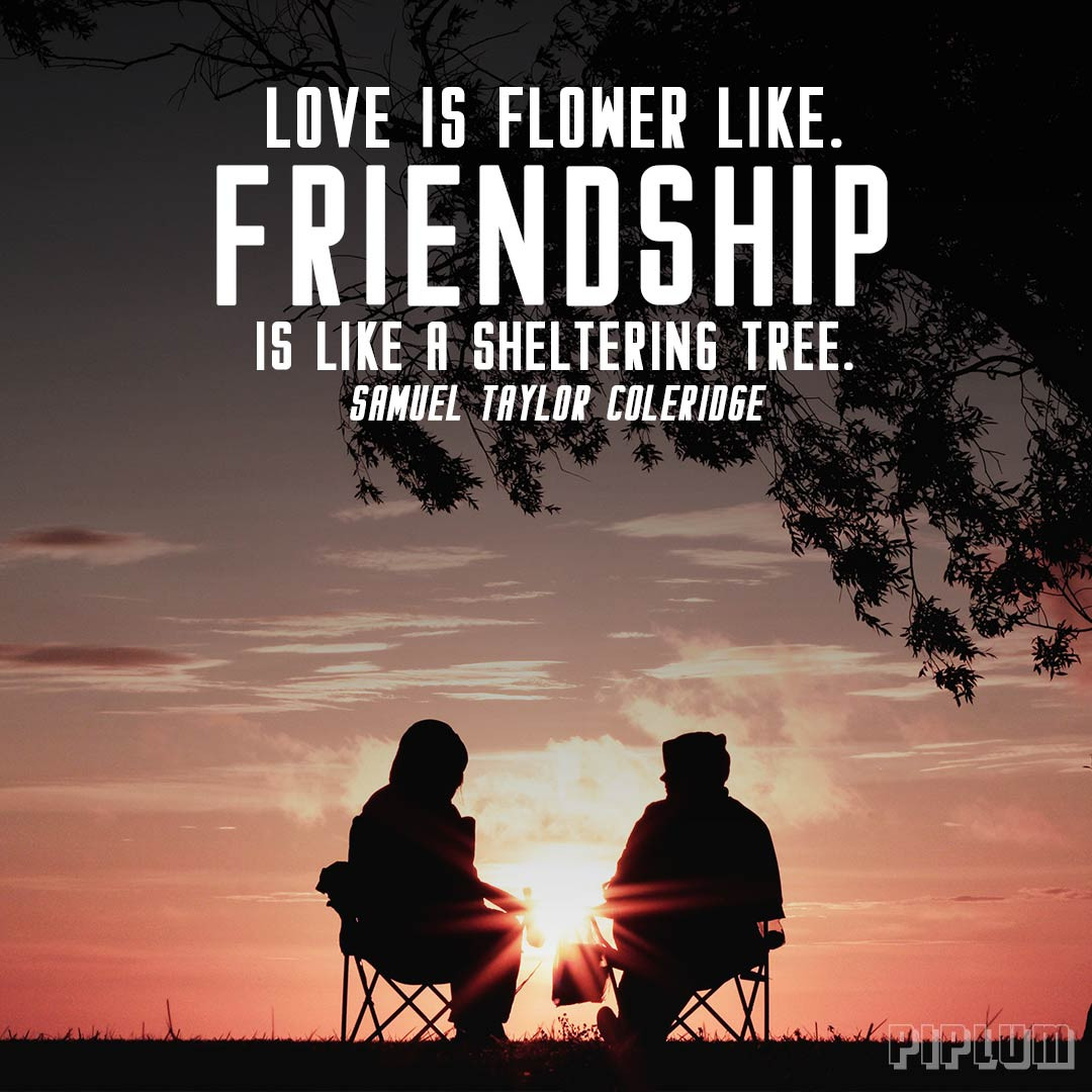 Love Quotes For Friendships
 Quote About Friendship Love is flower like Friendship is