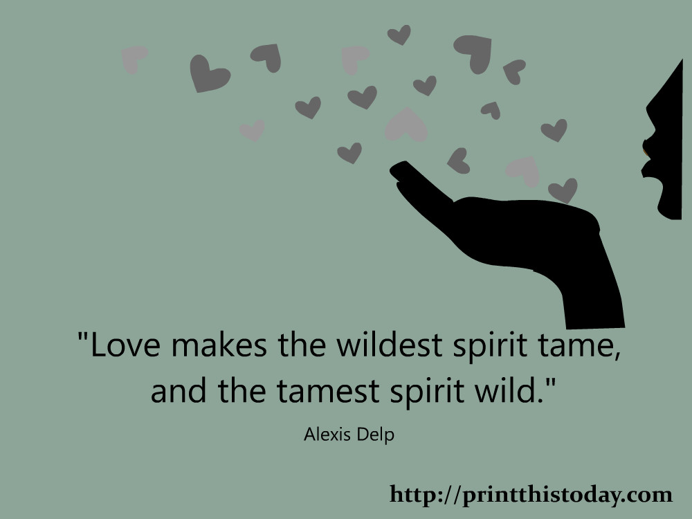 Love Quotes With Pictures
 Wild Spirit Quotes QuotesGram