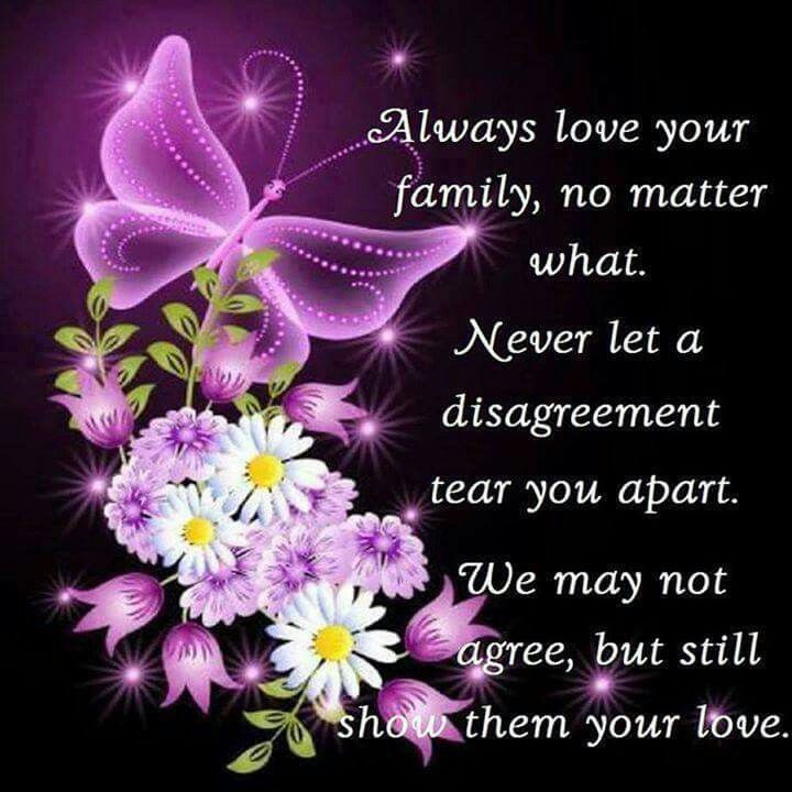 Love Your Family Quotes
 Never let a disagreement treat a family apart