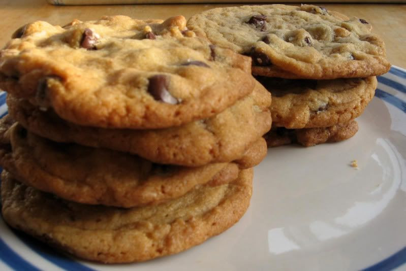 Low Calorie Chocolate Chip Cookies Recipe
 Low Calorie Cookie Recipes