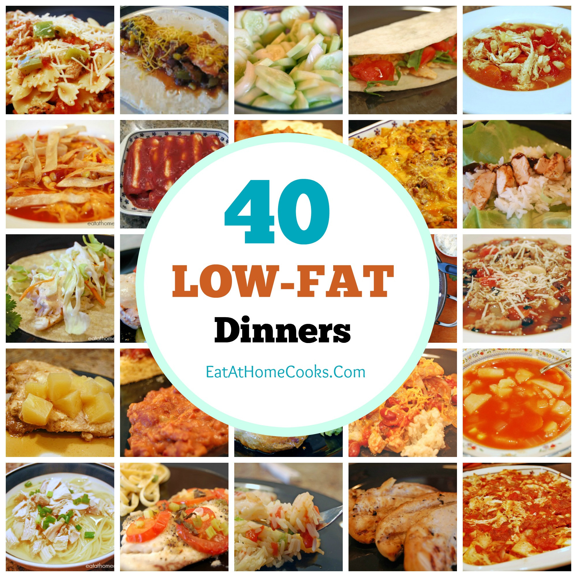 Low Calorie Low Fat Recipes
 My Big Fat List of 40 Low Fat Recipes Eat at Home