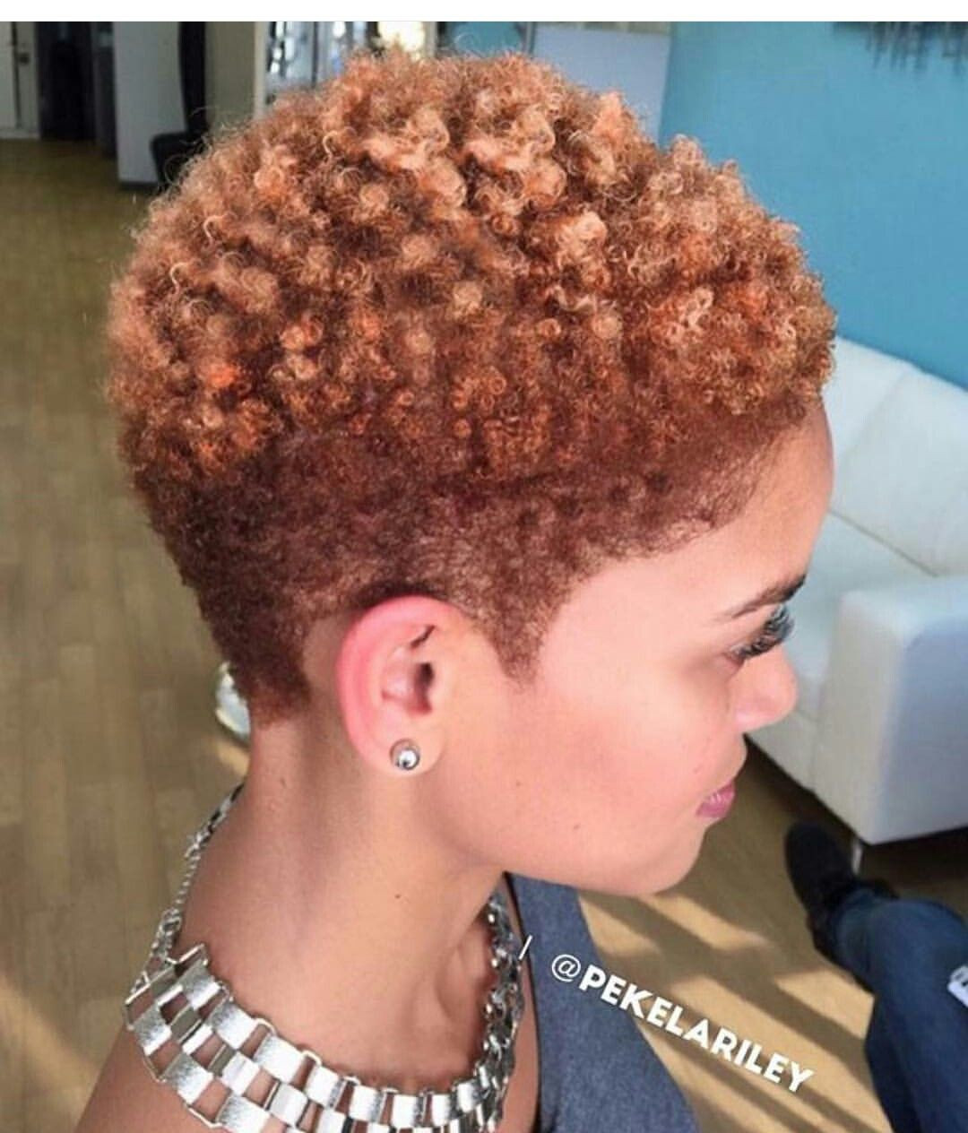 Low Cut Natural Hair
 Pin on Low Fro