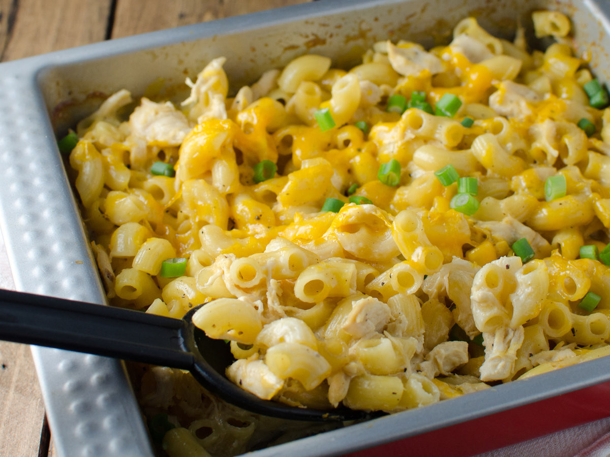 Macaroni And Cheese Casserole With Chicken
 Cheesy Macaroni Chicken Casserole Recipe Kristen Stevens