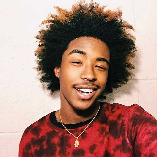 Male Afro Hairstyles
 25 African American Men Hairstyles