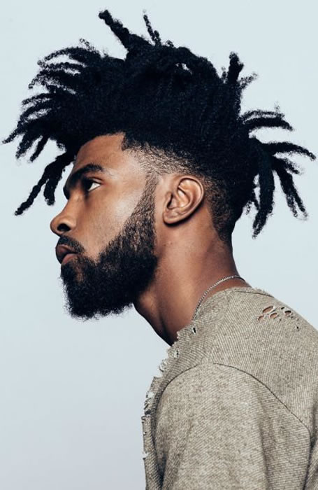 Male Afro Hairstyles
 50 The Coolest Men’s Black & Afro Hairstyles