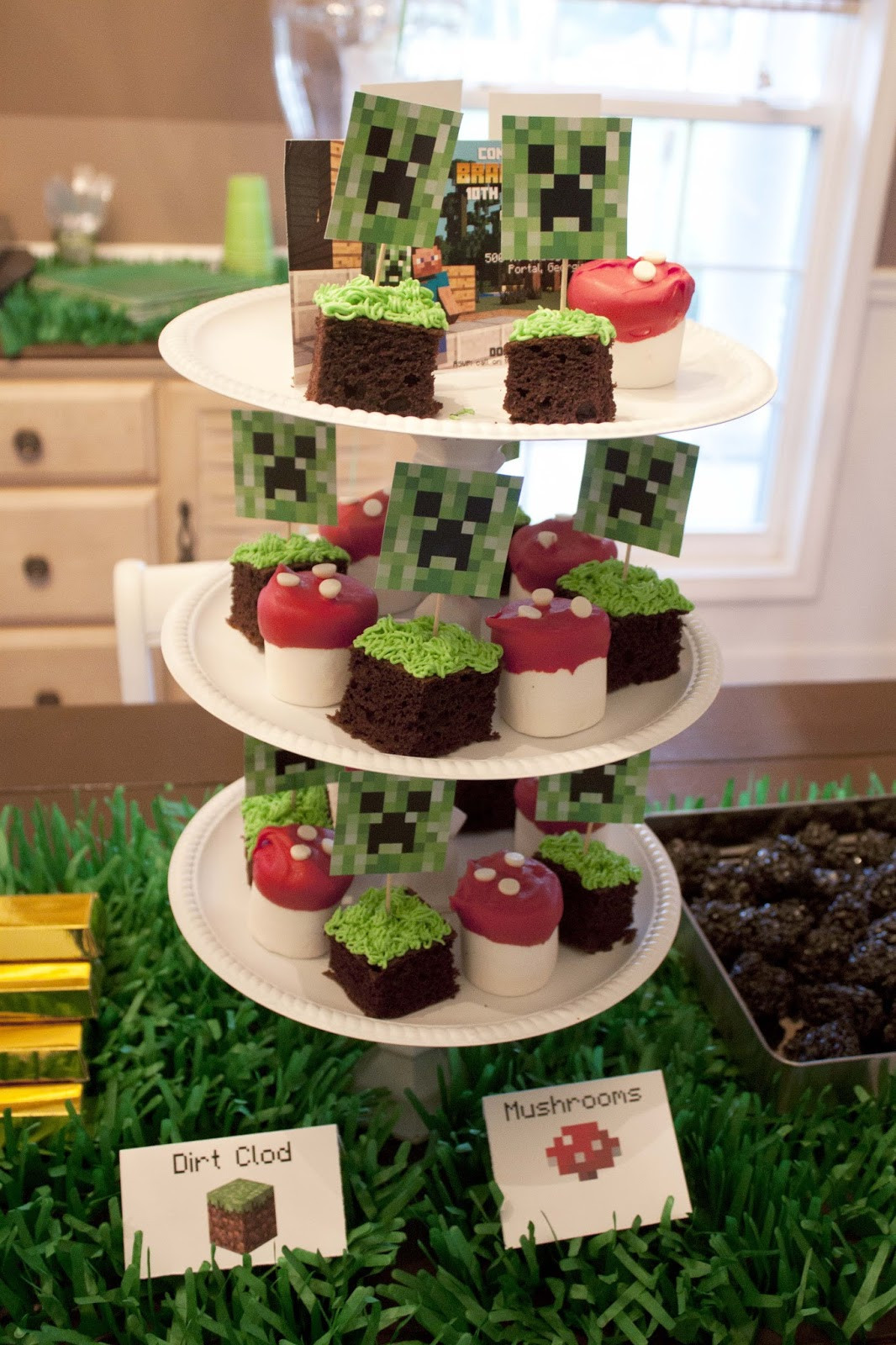 Minecraft Decoration Ideas For Birthday
 DIY Minecraft Birthday Party craft ideas party favors