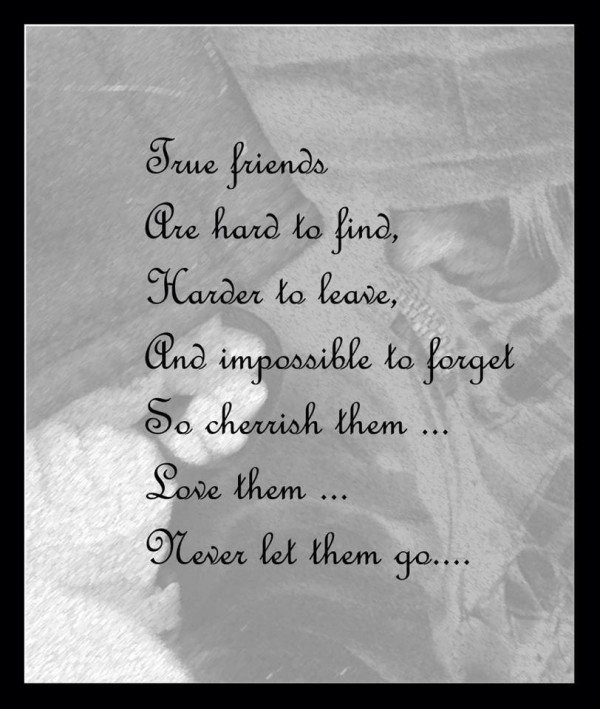 Missing A Friendship Quotes
 Famous Quotes About True Friendship QuotesGram