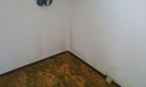 Mold On Wall In Bedroom
 I need help finding source of and removing mold from walls
