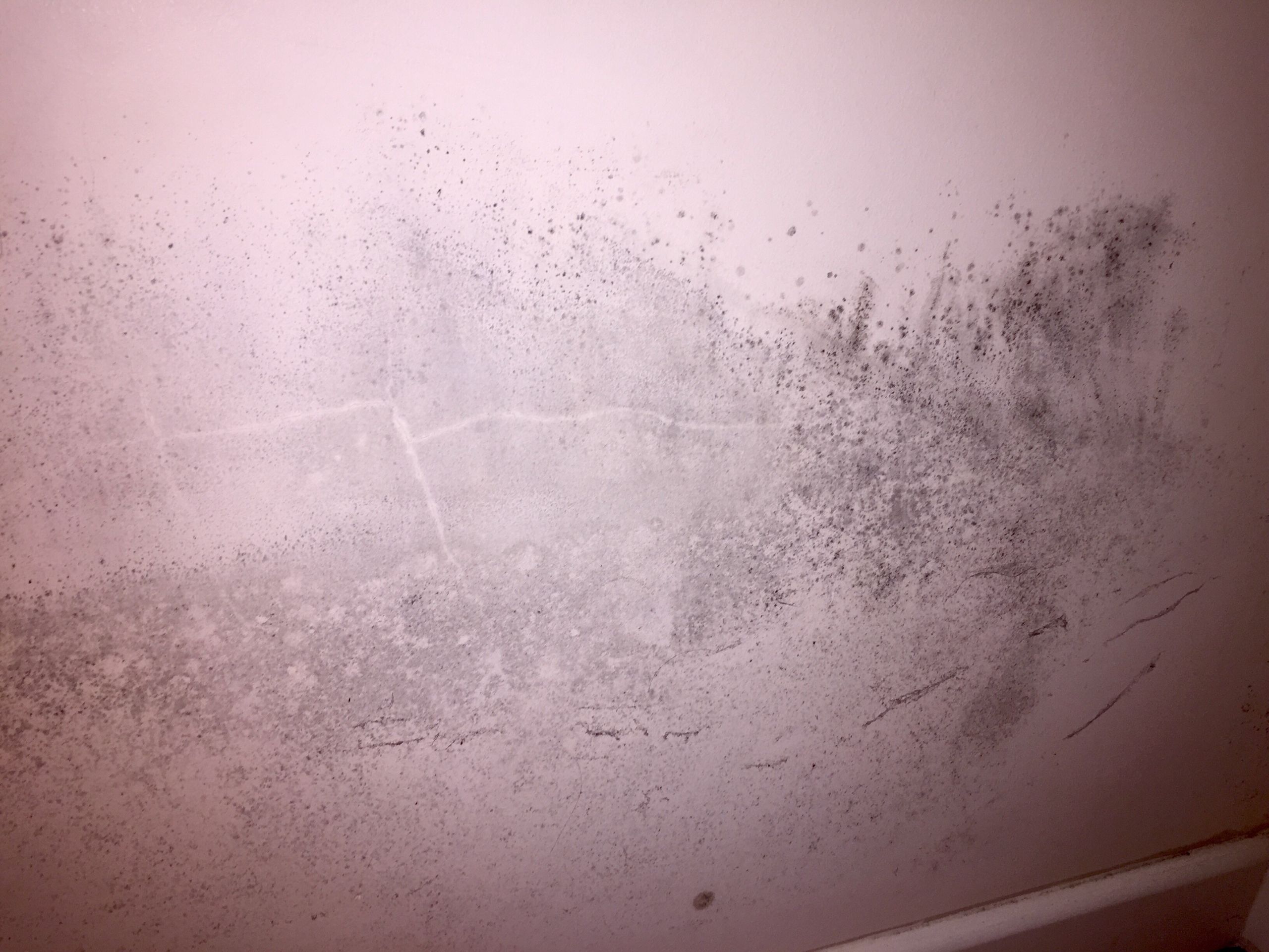 Mold On Wall In Bedroom
 Mould on bedroom wall