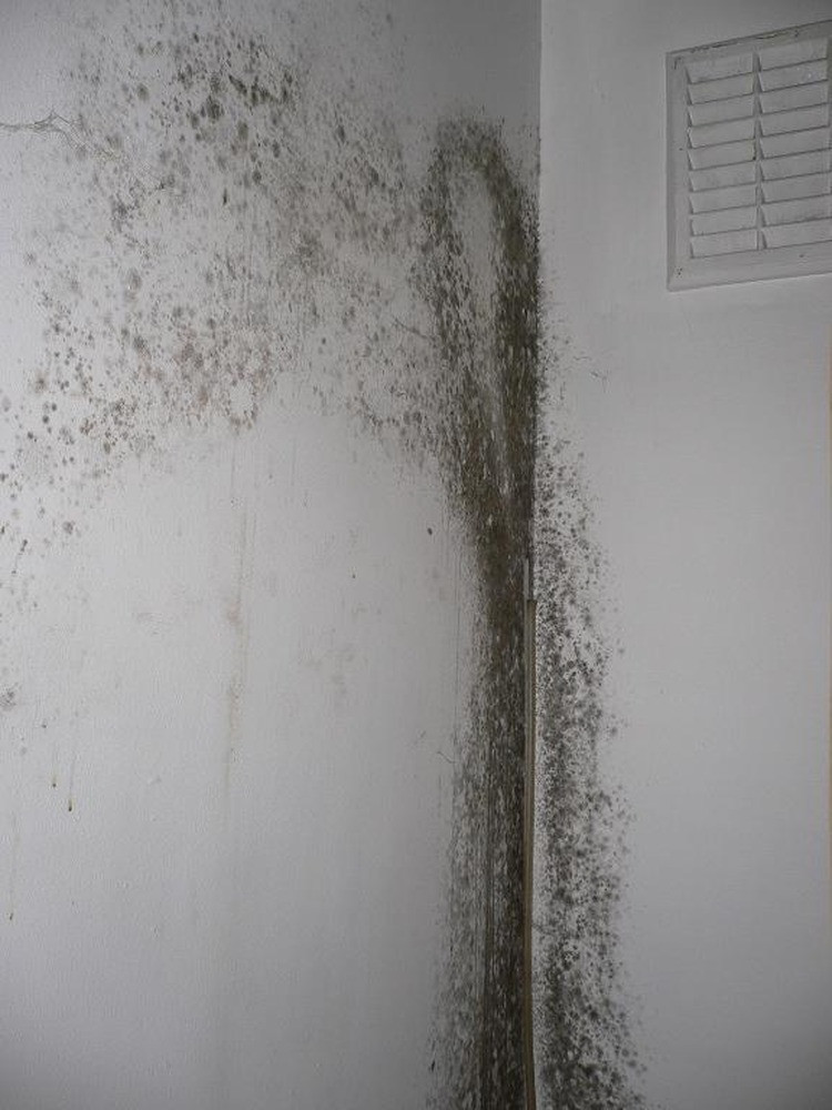 Mold On Wall In Bedroom
 Mould on bedroom wall Damp Proofing job in Clapham