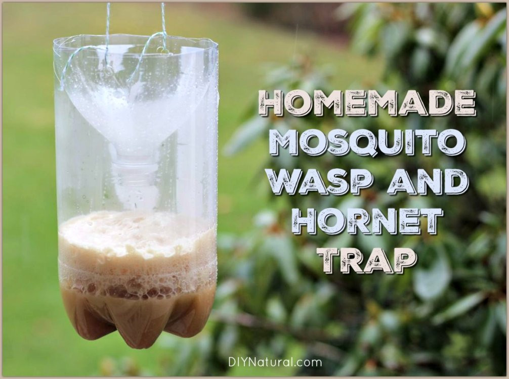 Mosquito Trap Outdoor DIY
 Homemade Mosquito Traps and Homemade Wasp Traps