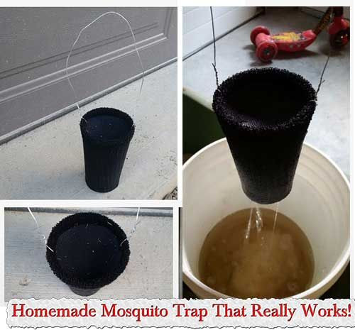 Mosquito Trap Outdoor DIY
 Homemade Mosquito Trap That Really Works