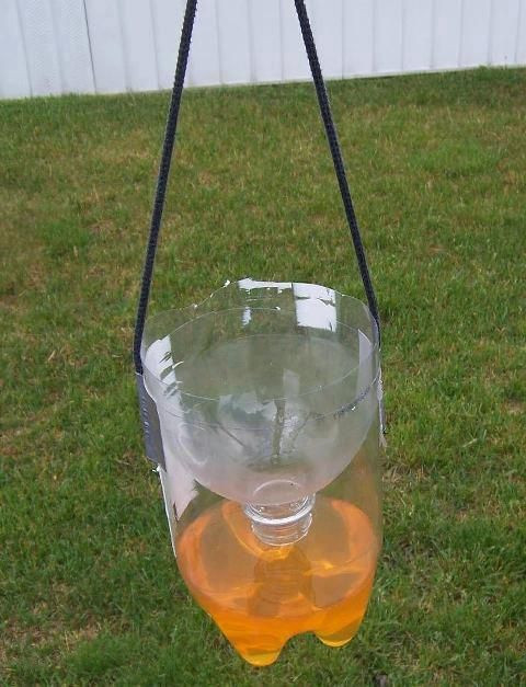Mosquito Trap Outdoor DIY
 Natural Bee Wasp Trap Killer Cut 2 liter bottle cut in