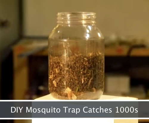 Mosquito Trap Outdoor DIY
 DIY Mosquito Trap Catches Thousands Per Night Activist Post