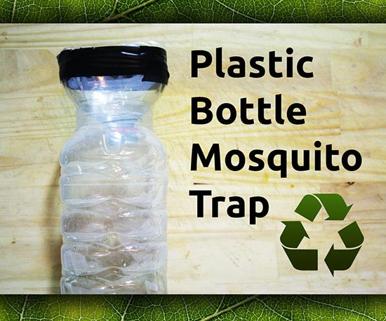 Mosquito Trap Outdoor DIY
 Easy DIY Plastic Bottle Mosquito Trap