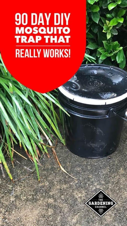 Mosquito Trap Outdoor DIY
 DIY Mosquito Trap with a 3 or 5 Gallon Bucket Gardening