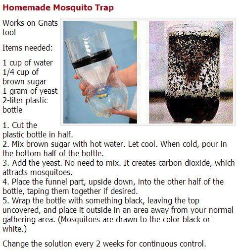 Mosquito Trap Outdoor DIY
 30 of the BEST Camping Ideas Gear Tips & Tricks