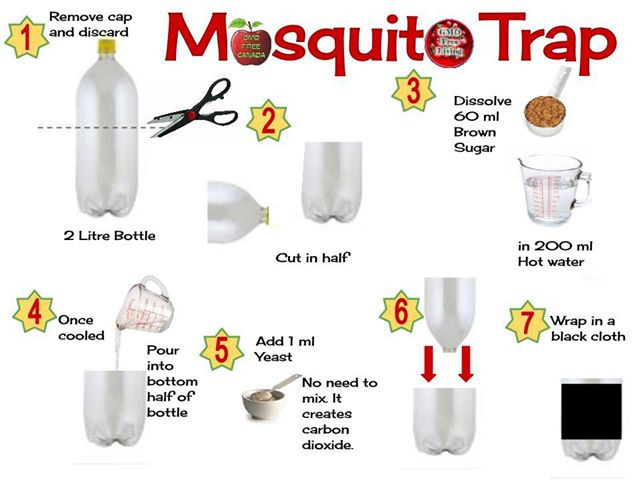 Mosquito Trap Outdoor DIY
 Get Rid Mosquitos At Your Home With This Simple