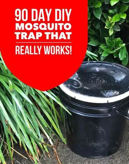 Mosquito Trap Outdoor DIY
 13 Homemade Mosquito Trap Ideas To Get Rid Mosquitos