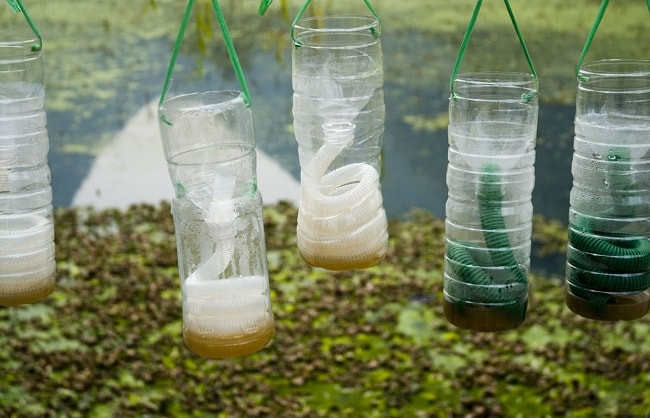 Mosquito Trap Outdoor DIY
 TOP 8 Best Mosquito Traps from $30 to $900