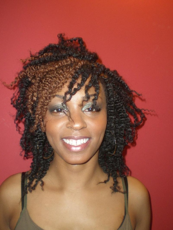 Natural Braided Hairstyles
 389 best Natural Hair & Braid Styles images on Pinterest