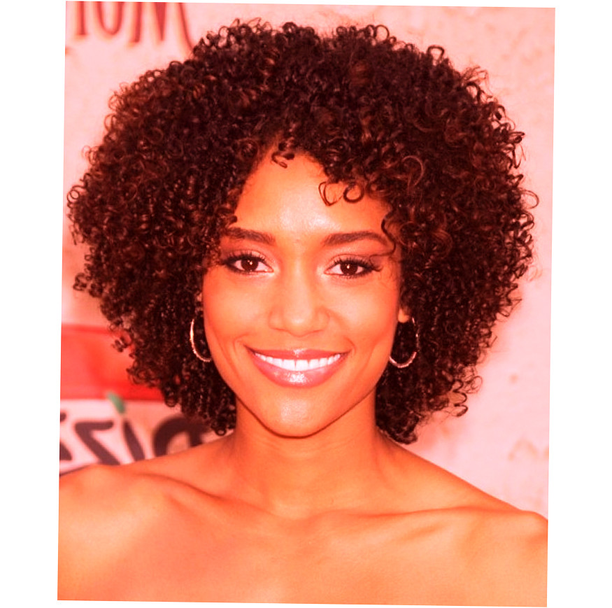 Natural Hairstyles For African American
 African American Natural Hairstyles New Style for 2016